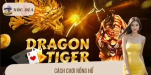 Cách Chơi Rồng Hổ Hiệu Quả, Dễ Thắng Cho Người Mới