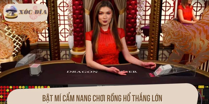 Bật mí cẩm nang chơi Rồng Hổ thắng lớn từ dân chuyên