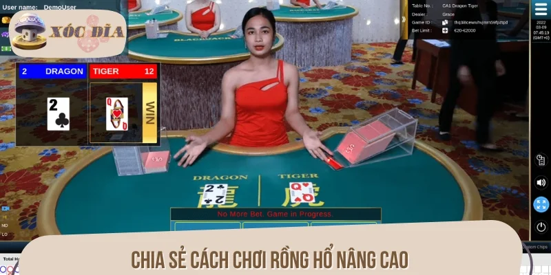 Chia sẻ cách chơi Rồng Hổ nâng cao dành cho Newbie