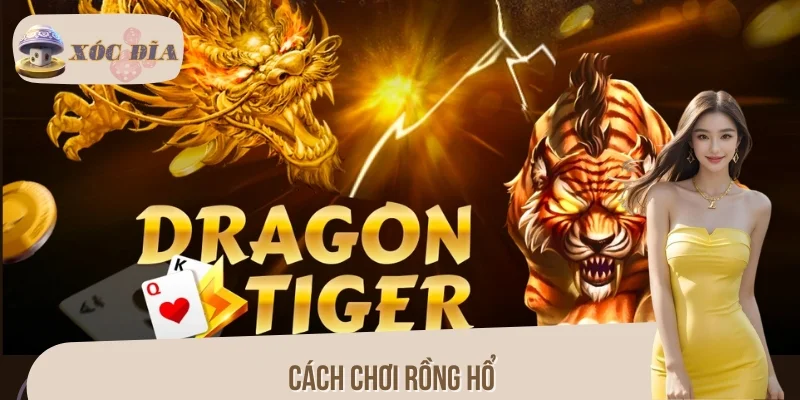 Cách Chơi Rồng Hổ Hiệu Quả, Dễ Thắng Cho Người Mới