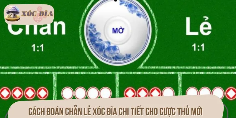 Cách đoán chẵn lẻ xóc đĩa chi tiết cho cược thủ mới