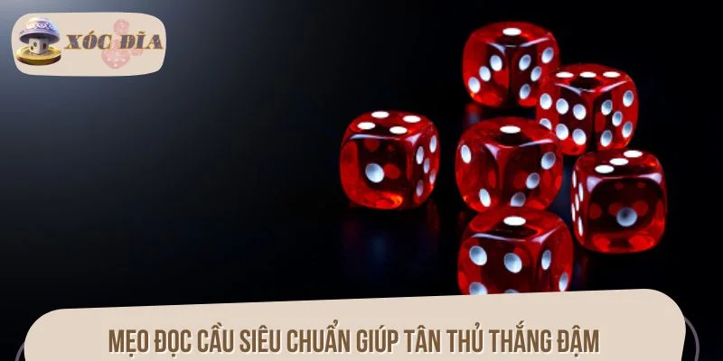 Mẹo đọc cầu siêu chuẩn giúp tân thủ thắng đậm