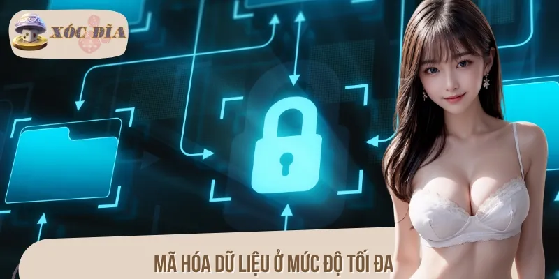 Chúng tôi cam kết sẽ mã hóa dữ liệu đúng như chính sách bảo mật