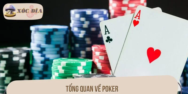 Tổng quan về Poker