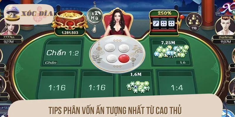 Tips phân vốn ấn tượng nhất từ cao thủ