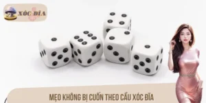Mẹo Không Bị Cuốn Theo Cầu Xóc Đĩa Giúp Thành Viên Thắng Lớn