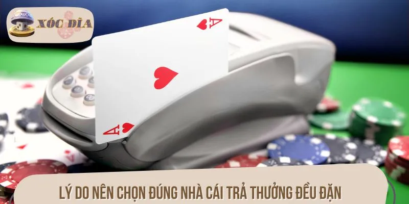 Lý do nên chọn đúng nhà cái trả thưởng đều đặn