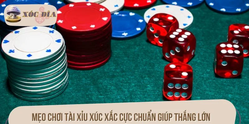 Mẹo chơi tài xỉu xúc xắc cực chuẩn giúp thắng lớn