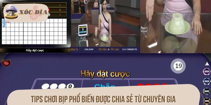 Tips chơi bịp phổ biến được chia sẻ từ chuyên gia