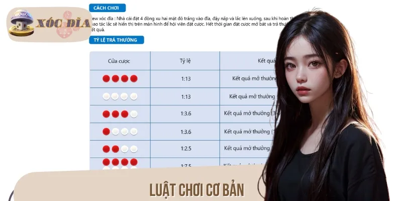 Luật chơi Xóc Đĩa cơ bản người mới bắt đầu cần nắm rõ